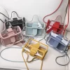 Transparent Sweet Lady Bag